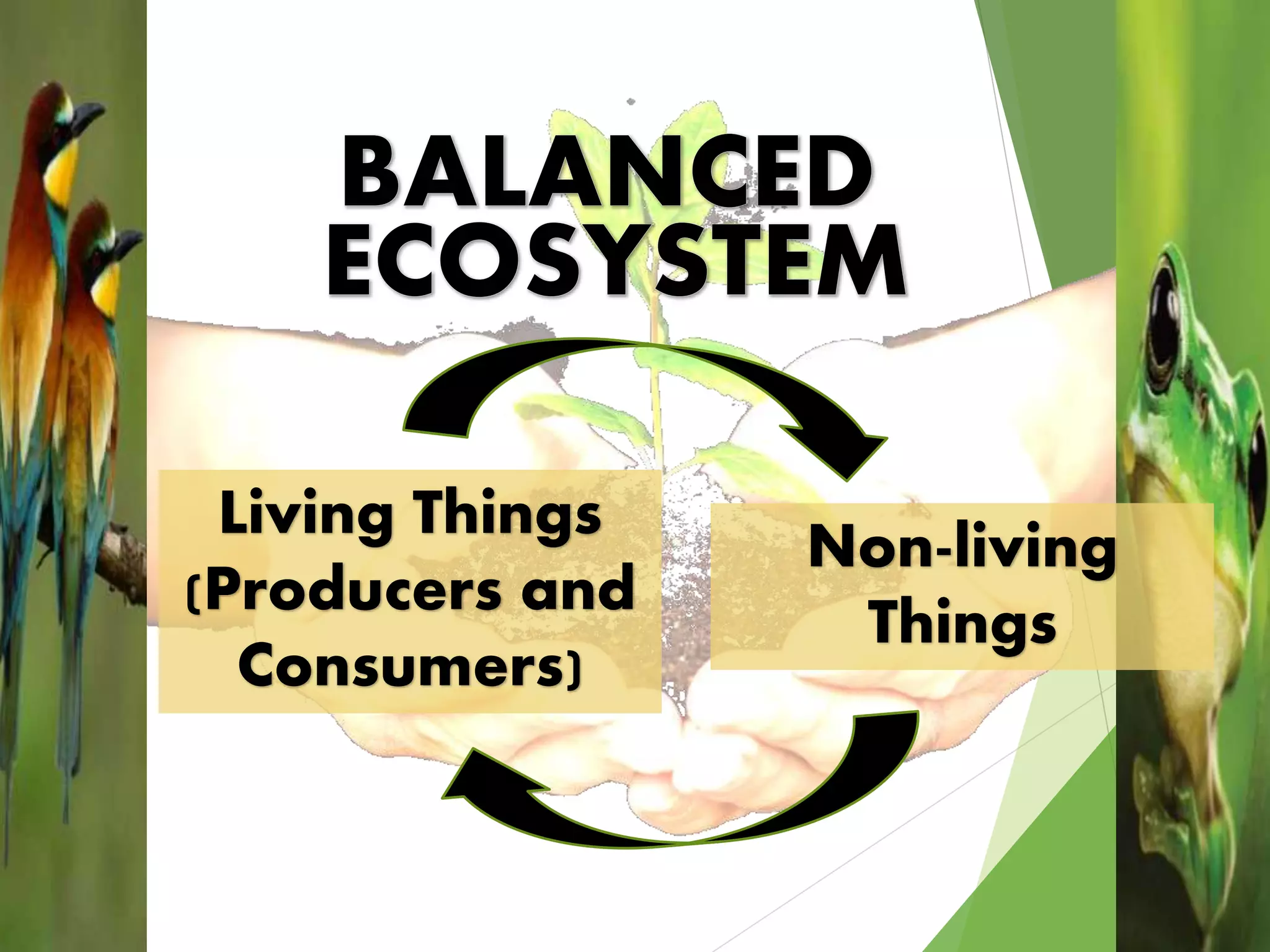 Living Things
(Producers and
Consumers)
Non-living
Things
 