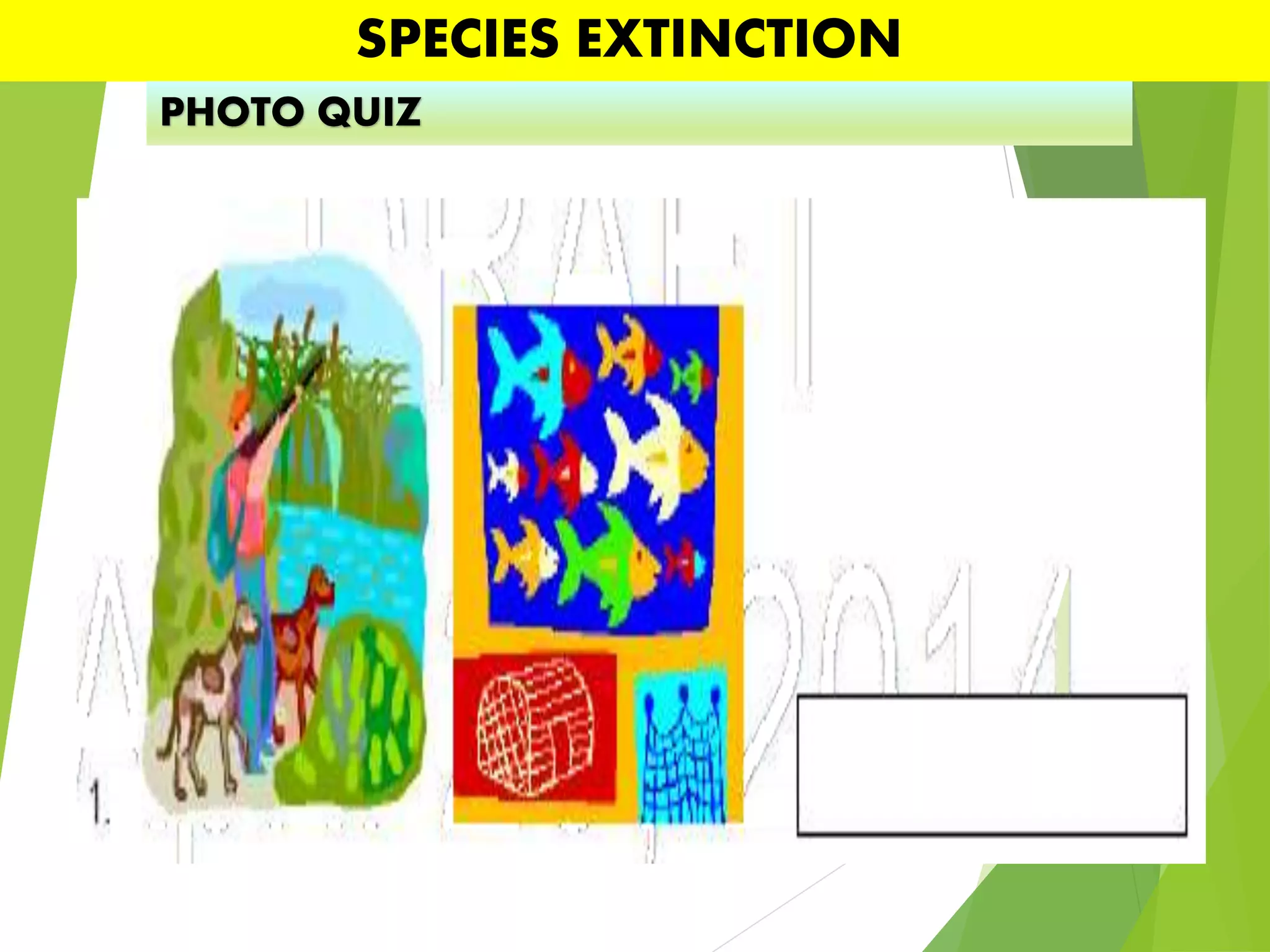 SPECIES EXTINCTION
PHOTO QUIZ
 