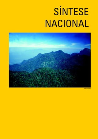 SÍNTESE
NACIONAL




       Russel Mittermeier
 