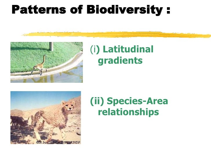 Biodiversity conservation