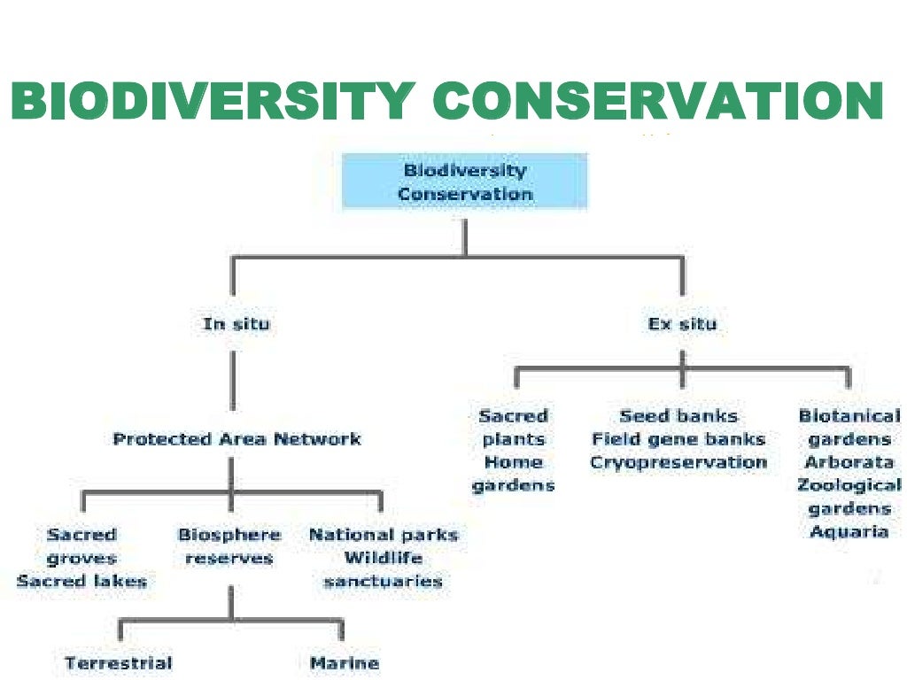 Methods Of Conservation Of Biodiversity – WZGC