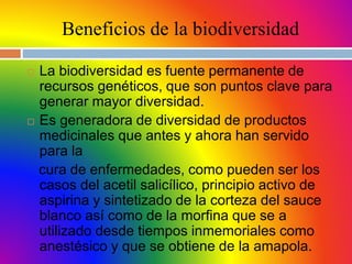 Beneficios de la biodiversidad
 La biodiversidad es fuente permanente de
recursos genéticos, que son puntos clave para
generar mayor diversidad.
 Es generadora de diversidad de productos
medicinales que antes y ahora han servido
para la
cura de enfermedades, como pueden ser los
casos del acetil salicílico, principio activo de
aspirina y sintetizado de la corteza del sauce
blanco así como de la morfina que se a
utilizado desde tiempos inmemoriales como
anestésico y que se obtiene de la amapola.
 