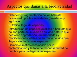 Aspectos que dañas a la biodiversidad
 Deterioro y fragmentación de los hábitats
ocasionado por las actividades ganaderas y
agrícolas.
 El trafico ilegal de especies.
 Introducción de especies exóticas a hábitats que
no son parte de su ciclo de su vida natal lo que
ocasiona depredación, enfermedades y
modificaciones totales de su modo de vida que
llega a afectar a otras especies.
 Cambio climático ocasionado por la
contaminación y la falta de responsabilidad del
hombre para proteger a las especies.
 