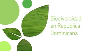 Biodiversidad
en Republica
Dominicana
 