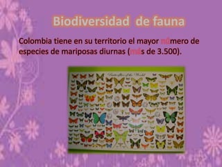 Biodiversidad de fauna
Colombia tiene en su territorio el mayor mero de
especies de mariposas diurnas ( s de 3.500).
 
