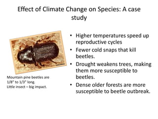 Impact of climate change on biodiversity | PPTX