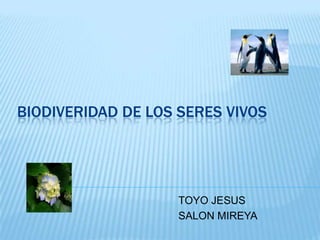 TOYO JESUS
SALON MIREYA
BIODIVERIDAD DE LOS SERES VIVOS
 