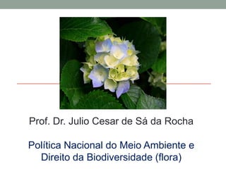 Prof. Dr. Julio Cesar de Sá da Rocha PolíticaNacional do MeioAmbiente e DireitodaBiodiversidade(flora) 