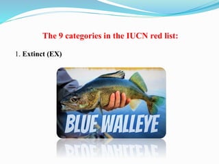 The 9 categories in the IUCN red list:
1. Extinct (EX)
 