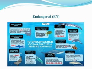 Endangered (EN)
 