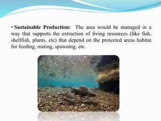 • Sustainable Production: The area would be managed in a
way that supports the extraction of living resources (like fish,
shellfish, plants, etc) that depend on the protected areas habitat
for feeding, mating, spawning, etc.
 