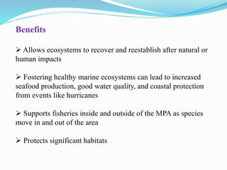 Benefits
 Allows ecosystems to recover and reestablish after natural or
human impacts
 Fostering healthy marine ecosystems can lead to increased
seafood production, good water quality, and coastal protection
from events like hurricanes
 Supports fisheries inside and outside of the MPA as species
move in and out of the area
 Protects significant habitats
 