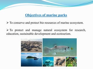 Objectives of marine parks
 To conserve and protect bio resources of marine ecosystem.
 To protect and manage natural ecosystem for research,
education, sustainable development and ecotourism.
 