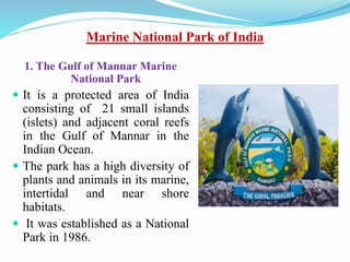 Marine National Park of India
1. The Gulf of Mannar Marine
National Park
 It is a protected area of India
consisting of 21 small islands
(islets) and adjacent coral reefs
in the Gulf of Mannar in the
Indian Ocean.
 The park has a high diversity of
plants and animals in its marine,
intertidal and near shore
habitats.
 It was established as a National
Park in 1986.
 