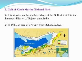 3. Gulf of Kutch Marine National Park
 It is situated on the southern shore of the Gulf of Kutch in the
Jamnagar District of Gujarat state, India.
 In 1980, an area of 270 km² from Okha to Jodiya.
 