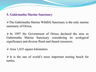 5. Gahirmatha Marine Sanctuary
The Gahirmatha Marine Wildlife Sanctuary is the only marine
sanctuary of Orissa.
 In 1997 the Government of Orissa declared the area as
Gahirmatha Marine Sanctuary considering its ecological
significance and diverse floral and faunal resources.
 Area 1,435 square kilometers.
 It is the one of world’s most important nesting beach for
turtles.
 