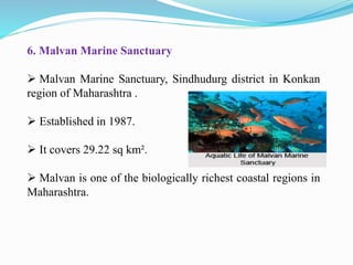 6. Malvan Marine Sanctuary
 Malvan Marine Sanctuary, Sindhudurg district in Konkan
region of Maharashtra .
 Established in 1987.
 It covers 29.22 sq km².
 Malvan is one of the biologically richest coastal regions in
Maharashtra.
 