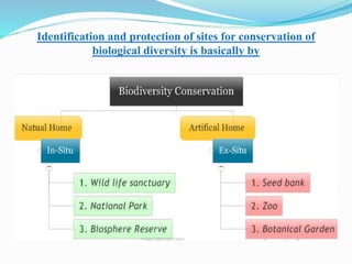 Identification and protection of sites for conservation of
biological diversity is basically by
 