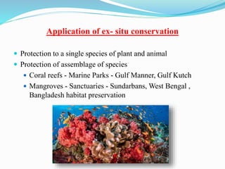 Application of ex- situ conservation
 Protection to a single species of plant and animal
 Protection of assemblage of species
 Coral reefs - Marine Parks - Gulf Manner, Gulf Kutch
 Mangroves - Sanctuaries - Sundarbans, West Bengal ,
Bangladesh habitat preservation
 