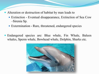  Alteration or destruction of habitat by man leads to
 Extinction - Eventual disappearance, Extinction of Sea Cow
–Sirenia Sp.
 Extermination - Rare, threatened, endangered species
 Endangered species are: Blue whale, Fin Whale, Baleen
whales, Sperm whale, Bowhead whale, Dolphin, Sharks etc.
 