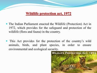 Wildlife protection act, 1972
 The Indian Parliament enacted the Wildlife (Protection) Act in
1972, which provides for the safeguard and protection of the
wildlife (flora and fauna) in the country.
 This Act provides for the protection of the country’s wild
animals, birds, and plant species, in order to ensure
environmental and ecological security.
 