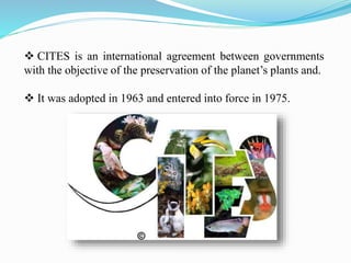  CITES is an international agreement between governments
with the objective of the preservation of the planet’s plants and.
 It was adopted in 1963 and entered into force in 1975.
 