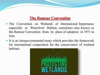 The Ramsar Convention
 The Convention on Wetlands of International Importance
especially as Waterfowl Habitat, sometimes also known as
the Ramsar Convention from its place of adoption in 1971 in
Iran.
 It is an intergovernmental treaty which provides the framework
for international cooperation for the conservation of wetland
habitats.
 