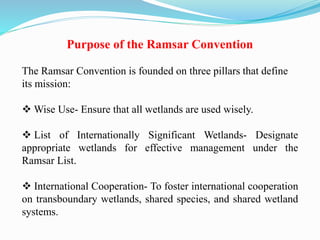 Purpose of the Ramsar Convention
The Ramsar Convention is founded on three pillars that define
its mission:
 Wise Use- Ensure that all wetlands are used wisely.
 List of Internationally Significant Wetlands- Designate
appropriate wetlands for effective management under the
Ramsar List.
 International Cooperation- To foster international cooperation
on transboundary wetlands, shared species, and shared wetland
systems.
 