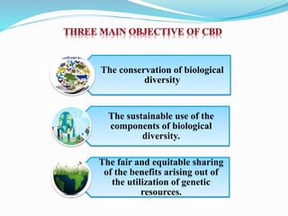 The conservation of biological
diversity
The sustainable use of the
components of biological
diversity.
The fair and equitable sharing
of the benefits arising out of
the utilization of genetic
resources.
 