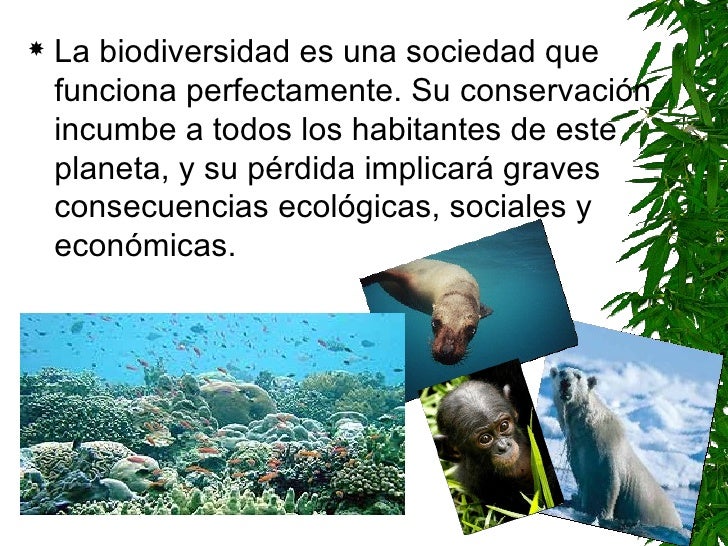Hierbas alimentos para perder grasa de las piernas este tiempo, agrega Embargo, sabas alimentos para perder grasa de las piernas fuego