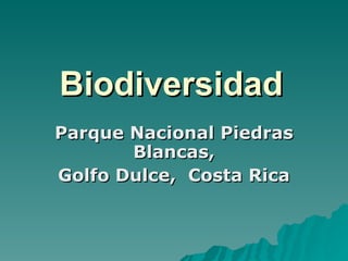 Biodiversidad Parque Nacional Piedras Blancas, Golfo Dulce,  Costa Rica   