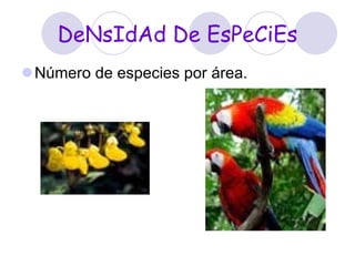 DeNsIdAd De EsPeCiEs Número de especies por área. 