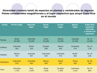 Diversidad (número total) de especies en plantas y vertebrados en algunos  Países considerados megadiversos y el lugar respectivo que ocupa Costa Rica en el mundo Grupo Primer lugar Segundo  lugar Tercer  lugar Cuarto  lugar Quinto  lugar Costa Rica (posición estimada y número de especies) Plantas Brasil 55.000 Colombia 45.000 China 30.000 México 26.000 Australia 25.000 No 12 10.000 Anfibios Colombia 583 Brasil 516 Ecuador 358 México 282 Indonesia 270 No 14 178 Reptiles México 707 Australia 597 Indonesia 529 Colombia 475 Brasil  462 No 18 228 Mamíferos Indonesia 519 Colombia 453 México 439 Brasil 421 China 410 No 30 236 Aves Colombia 1.753 Perú 1.678 Brasil 1.635 Ecuador 1.559 Indonesia 1.531 No 23 864 