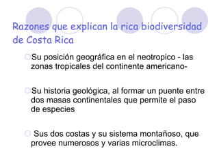 Razones que explican la rica biodiversidad de Costa Rica Su posición geográfica en el neotropico - las zonas tropicales del continente americano-    Su historia geológica, al formar un puente entre dos masas continentales que permite el paso de especies   Sus dos costas y su sistema montañoso, que provee numerosos y varias microclimas.   