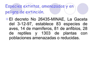 Especies extintas, amenazados y en peligro de extinción. El decreto No 26435-MINAE, La Gaceta del 3-12-97, establece 83 especies de aves, 14 de mamíferos, 81 de anfibios, 28 de reptiles y 1303 de plantas con poblaciones amenazadas o reducidas. 