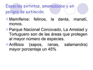 Especies extintas, amenazados y en peligro de extinción. Mamíferos: felinos, la danta, manatí, monos. Parque Nacional Corcovado, La Amistad y Tortuguero son de las áreas que protegen al mayor número de especies. Anfibios (sapos, ranas, salamandra) mayor porcentaje un 45%  