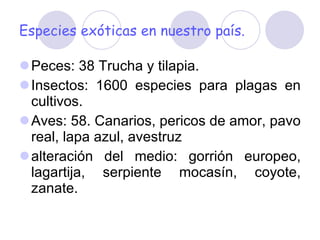 Especies exóticas en nuestro país. Peces: 38 Trucha y tilapia. Insectos: 1600 especies para plagas en cultivos. Aves: 58. Canarios, pericos de amor, pavo real, lapa azul, avestruz alteración del medio: gorrión europeo, lagartija, serpiente mocasín, coyote, zanate. 