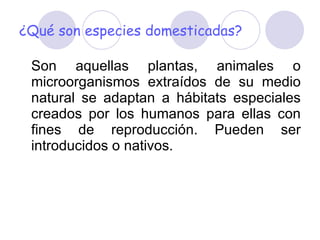 ¿Qué son especies domesticadas? Son aquellas plantas, animales o microorganismos extraídos de su medio natural se adaptan a hábitats especiales creados por los humanos para ellas con fines de reproducción. Pueden ser introducidos o nativos. 