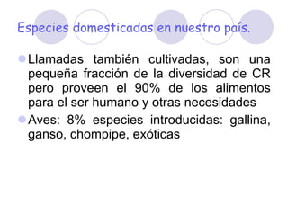 Especies domesticadas en nuestro país. Llamadas también cultivadas, son una pequeña fracción de la diversidad de CR pero proveen el 90% de los alimentos para el ser humano y otras necesidades   Aves: 8% especies introducidas: gallina, ganso, chompipe, exóticas 