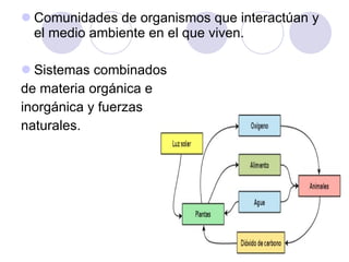 Comunidades de organismos que interactúan y el medio ambiente en el que viven.  Sistemas combinados  de materia orgánica e  inorgánica y fuerzas  naturales. 