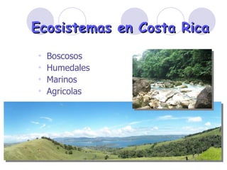 Ecosistemas en Costa Rica Boscosos Humedales Marinos  Agricolas 