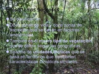 Ecosistemas boscosos Se clasifican en  Doce zonas de vida y doce zonas de transición que se basan en factores ambiéntales.  También en el  macro tipo de vegetación , que se define según las geográficas. Sistema de  unidades bióticas  que se basa en territorios que comparten características climáticas similares. 