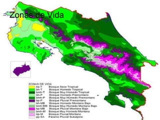 Zonas de Vida 