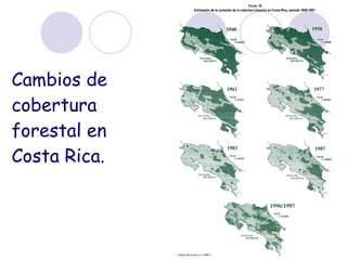 Cambios de cobertura forestal en Costa Rica. 