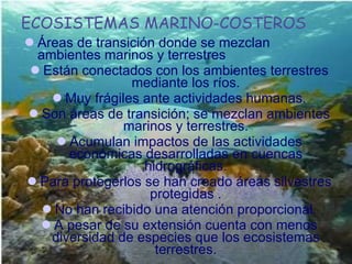 ECOSISTEMAS MARINO-COSTEROS Áreas de transición donde se mezclan ambientes marinos y terrestres Están conectados con los ambientes terrestres mediante los ríos. Muy frágiles ante actividades humanas. Son áreas de transición; se mezclan ambientes marinos y terrestres. Acumulan impactos de las actividades económicas desarrolladas en cuencas hidrográficas. Para protegerlos se han creado áreas silvestres protegidas . No han recibido una atención proporcional. A pesar de su extensión cuenta con menos diversidad de especies que los ecosistemas terrestres. 