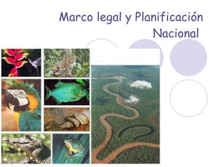 Marco legal y Planificación Nacional   