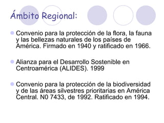 Ámbito Regional: Convenio para la protección de la flora, la fauna y las bellezas naturales de los países de América. Firmado en 1940 y ratificado en 1966. Alianza para el Desarrollo Sostenible en Centroamérica (ALIDES). 1999 Convenio para la protección de la biodiversidad y de las áreas silvestres prioritarias en América Central. N0 7433, de 1992. Ratificado en 1994. 