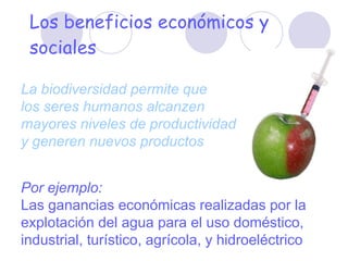 Los beneficios econ ómicos y sociales La biodiversidad permite que  los seres humanos alcanzen  mayores niveles de productividad  y generen nuevos productos Por ejemplo: Las ganancias econ ómicas realizadas por la  explotación del agua para el uso doméstico, industrial, turístico, agrícola, y hidroeléctrico 