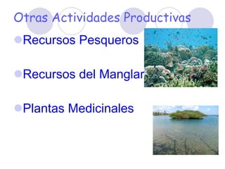 Otras Actividades Productivas Recursos Pesqueros Recursos del Manglar Plantas Medicinales 