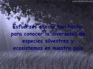 Esfuerzos que se han hecho para conocer la diversidad de especies silvestres y ecosistemas en nuestro país 